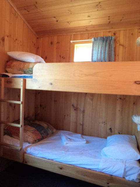 Bicheno East Coast Holiday Park - Hotel Gold Coast 35