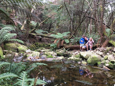 Derby Forest Cabins - Hotel Gold Coast 17