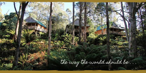Lemonthyme Wilderness Retreat - Hotel Gold Coast 20