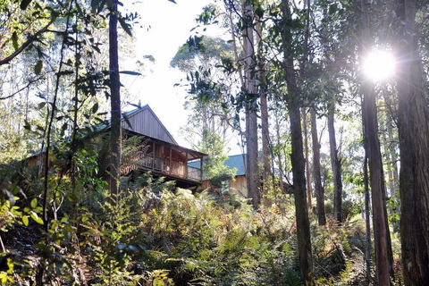 Lemonthyme Wilderness Retreat - Hotel Gold Coast 25