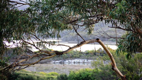 KINGFISHER COTTAGE Beachfront At The Binalong Bay - Hotel Gold Coast 17