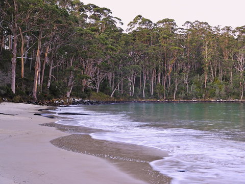 NRMA Port Arthur Holiday Park - Hotel Gold Coast 41