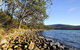NRMA Port Arthur Holiday Park - thumb 0