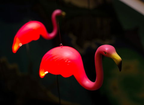 Alabama Hotel Hobart - Hotel Gold Coast 42