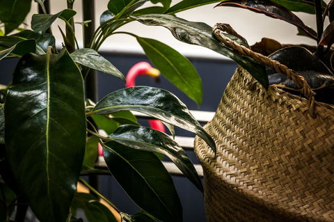 Alabama Hotel Hobart - Hotel Gold Coast 25