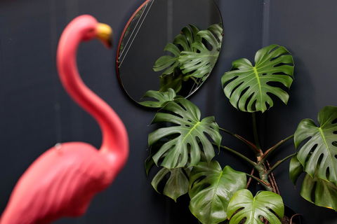 Alabama Hotel Hobart - Hotel Gold Coast 15