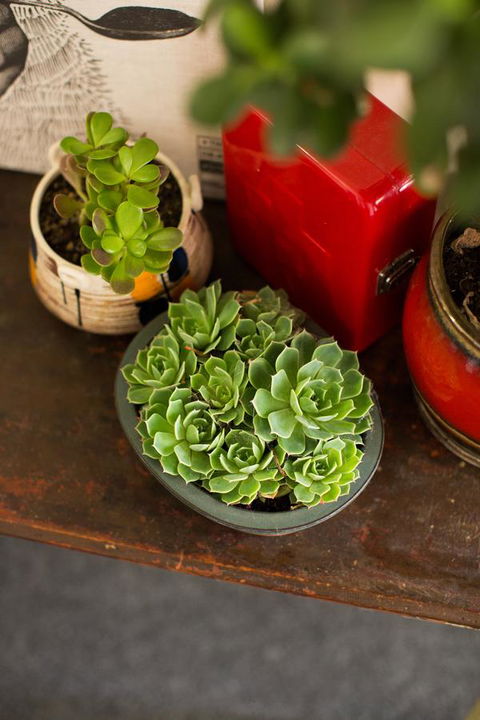 Alabama Hotel Hobart - Hotel Gold Coast 39