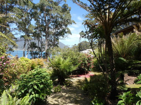 Osprey Lodge & Bungalow - Hotel Gold Coast 6