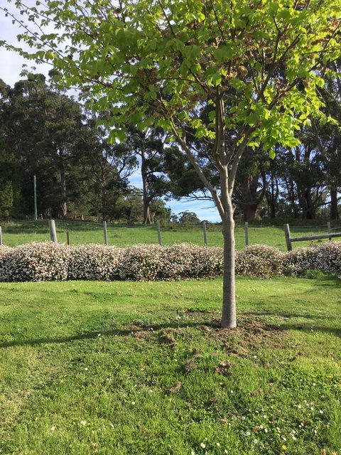 Nextdoor@portarthur - Hotel Gold Coast 17