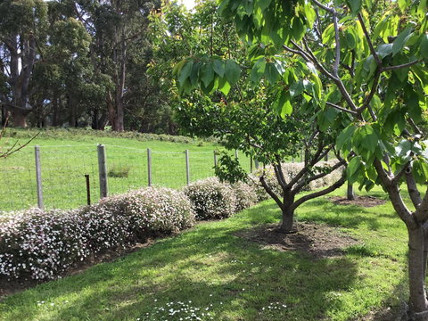 Nextdoor@portarthur - Hotel Gold Coast 18