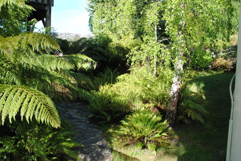 The Wombat Cottage - Hotel Gold Coast 4