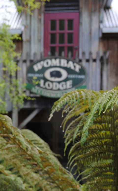The Wombat Cottage - Hotel Gold Coast 0