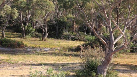 BAY OF FIRES SEACHANGE Ocean Frontage - Hotel Gold Coast 12