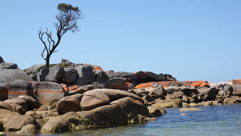 BAY OF FIRES SEACHANGE Ocean Frontage - Hotel Gold Coast 21