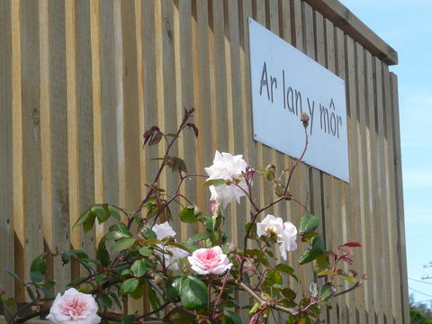 Ar Lan Y Mor - Hotel Gold Coast 12