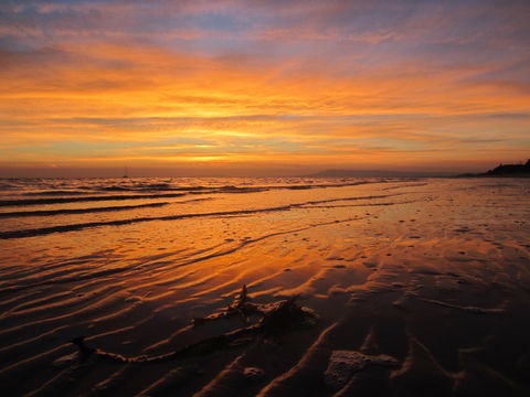Boathouse Resort Studios And Suites - Hotel Gold Coast 14
