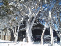 Book Dinner Plain Accommodation Vacations Hotel Gold Coast Hotel Gold Coast