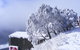 Arlberg Hotham - thumb 15