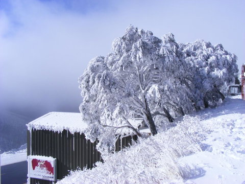 Arlberg Hotham - Hotel Gold Coast 15