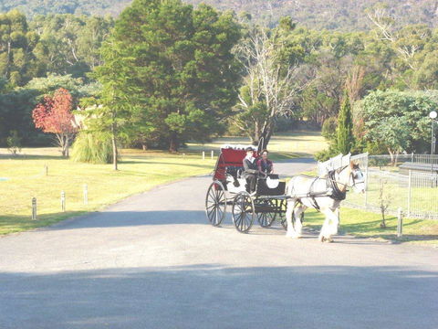 The Grampians Motel - Hotel Gold Coast 24
