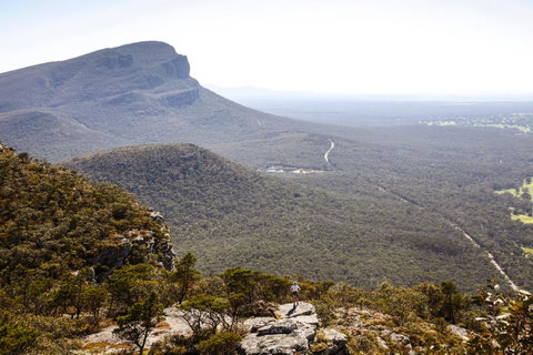Dunkeld Studio Accommodation - Hotel Gold Coast 15