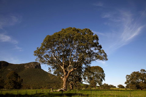 Dunkeld Studio Accommodation - Hotel Gold Coast 23