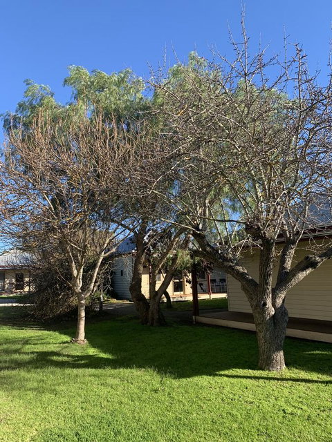Dunkeld Studio Accommodation - Hotel Gold Coast 4