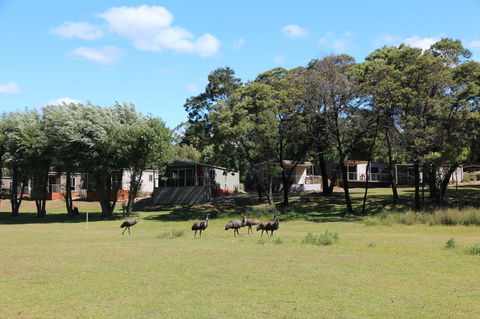 Halls Gap Lakeside Tourist Park - Hotel Gold Coast 1