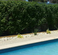 Robinvale Bridge Motel - Hotel Gold Coast