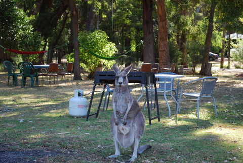 Gariwerd Motel - Hotel Gold Coast 26
