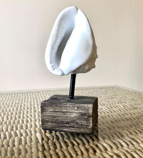 Sea Shells On Banyan Apartment - Hotel Gold Coast 9