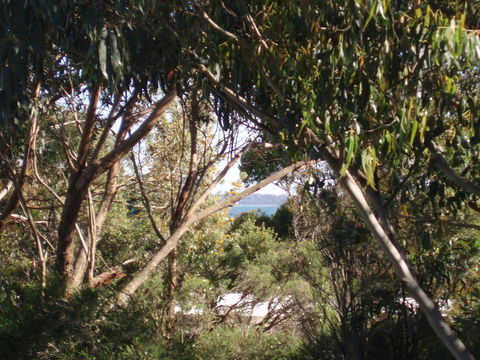 Aloha Ha Phillip Island - Hotel Gold Coast 24