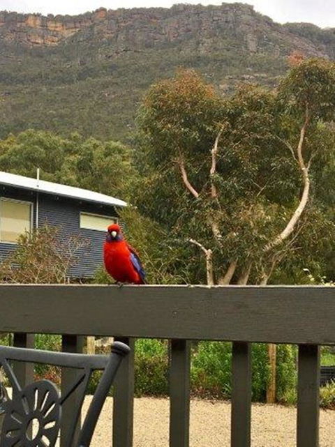 Kangurra Holiday House - Hotel Gold Coast 15