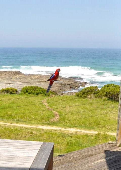 14 Steps - Hotel Gold Coast 15