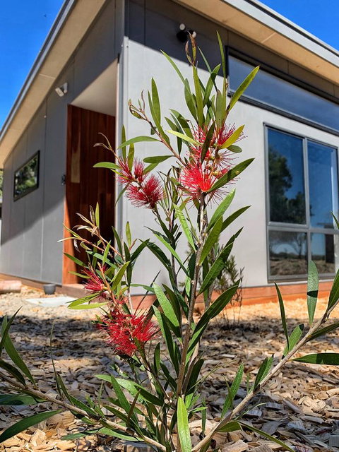 By Moonlight - Hotel Gold Coast 4