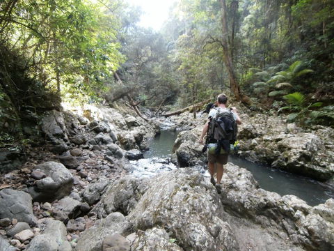 The Canungra Motel - Hotel Gold Coast 1