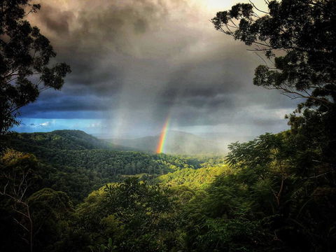 The Den Of The Treehouse, KINABALU Farm - Hotel Gold Coast 0