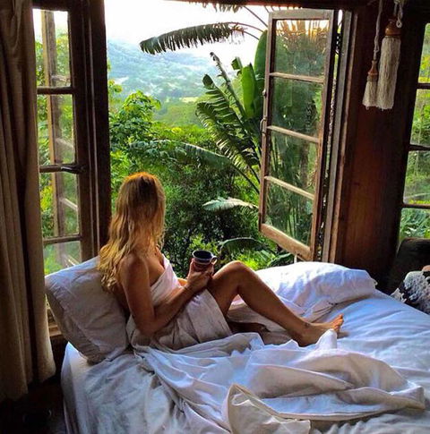 The Den Of The Treehouse, KINABALU Farm - Hotel Gold Coast 3