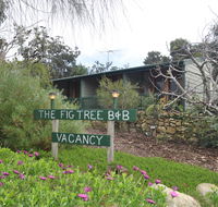 The Fig Tree BB - Hotel Gold Coast
