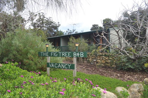 The Fig Tree B&B - Hotel Gold Coast 0
