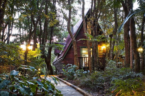 The Mouses House Rainforest Retreat - Hotel Gold Coast 1