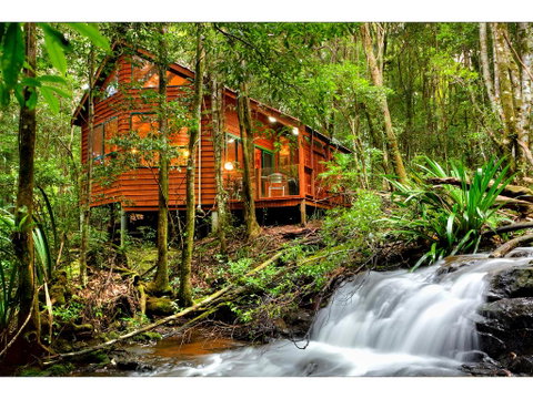 The Mouses House Rainforest Retreat - Hotel Gold Coast 0