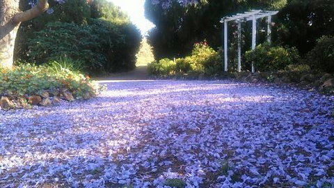 The Old Church Bed And Breakfast - Hotel Gold Coast 2