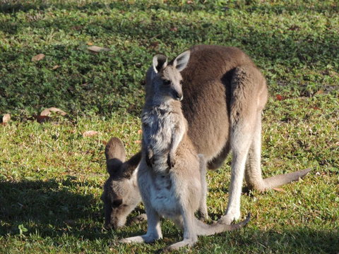 The Pouch B & B - Hotel Gold Coast 2