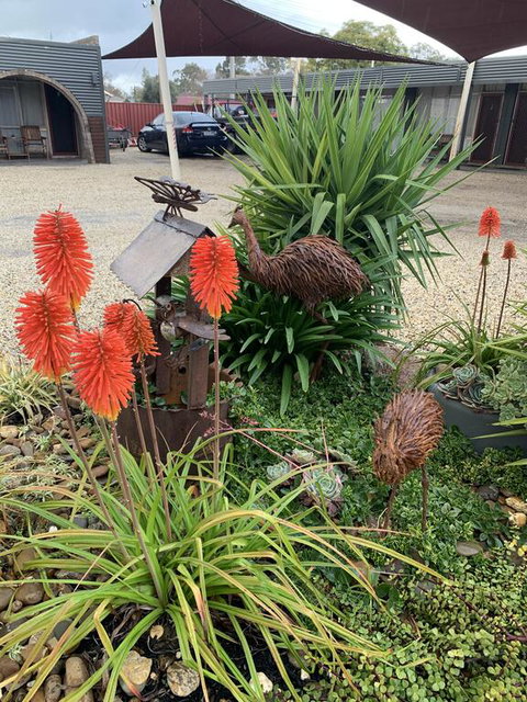 Thomas Lodge Motel - Hotel Gold Coast 1