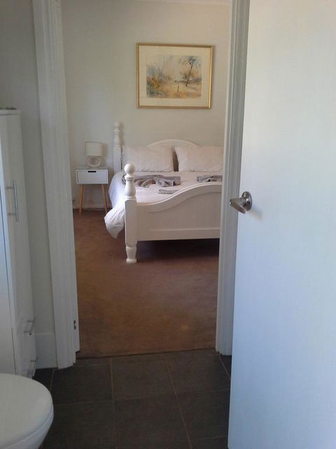 Tree Lodge - Hotel Gold Coast 1