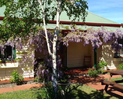 Triabunna Cabin & Caravan Park - Hotel Gold Coast 1