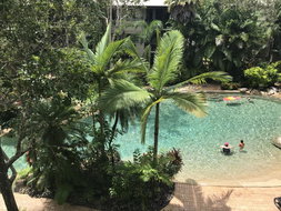 Book Cairns Accommodation Hotel Gold Coast Hotel Gold Coast