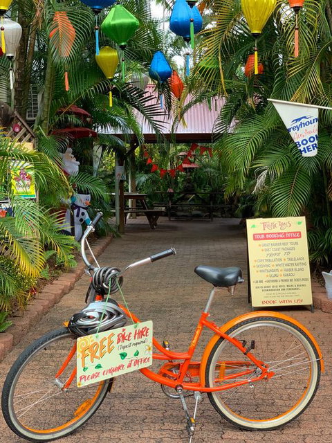 Tropic Days Boutique Hostel - Hotel Gold Coast 3
