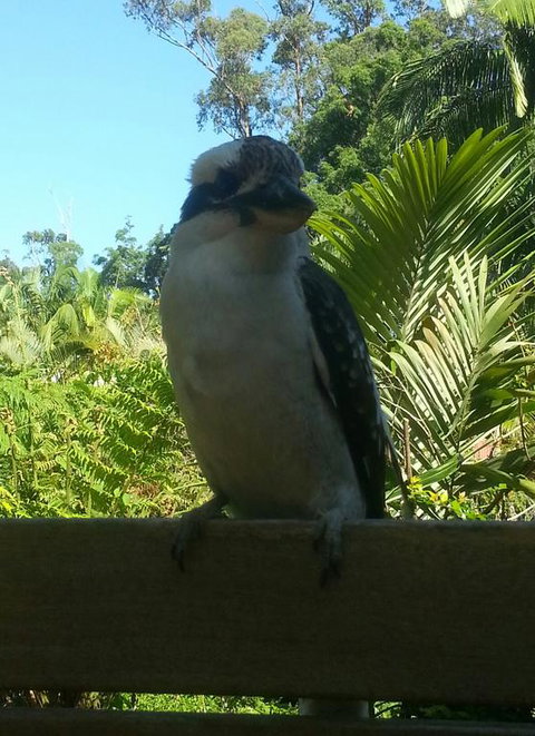 Tropic Oasis - Hotel Gold Coast 3